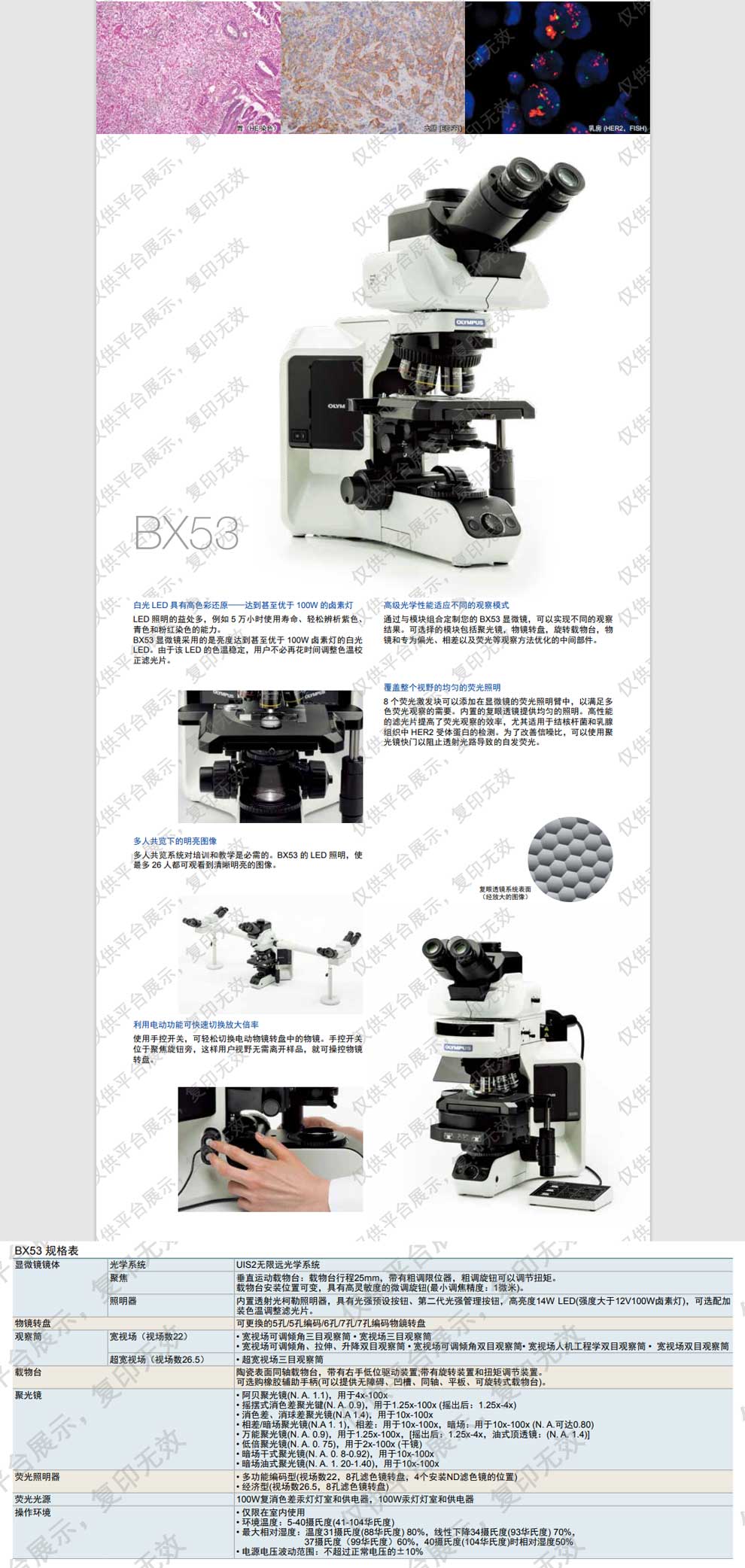 BX53系列-彩頁(yè).jpg