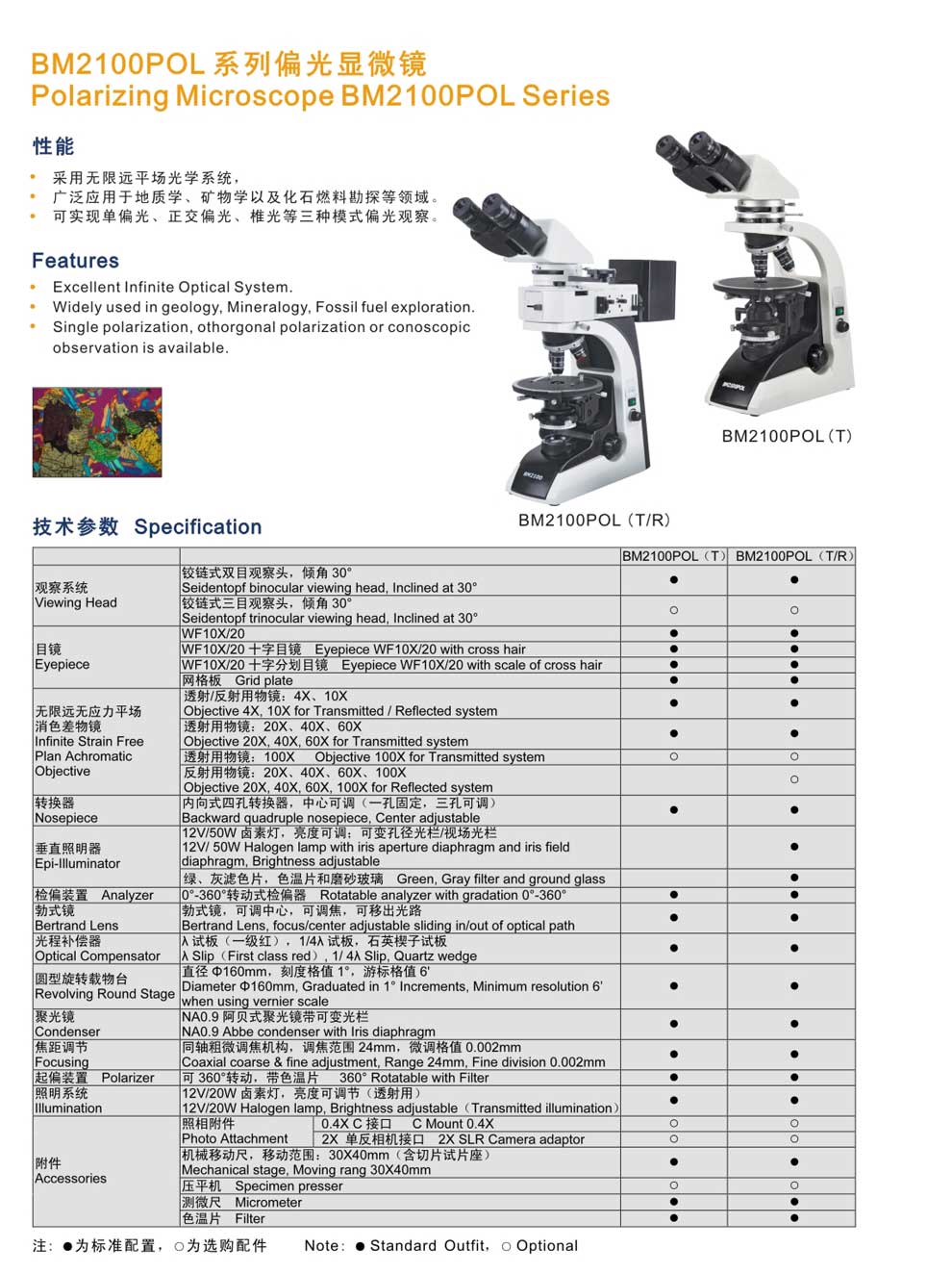 BM2100POL（T-R）-彩頁.jpg